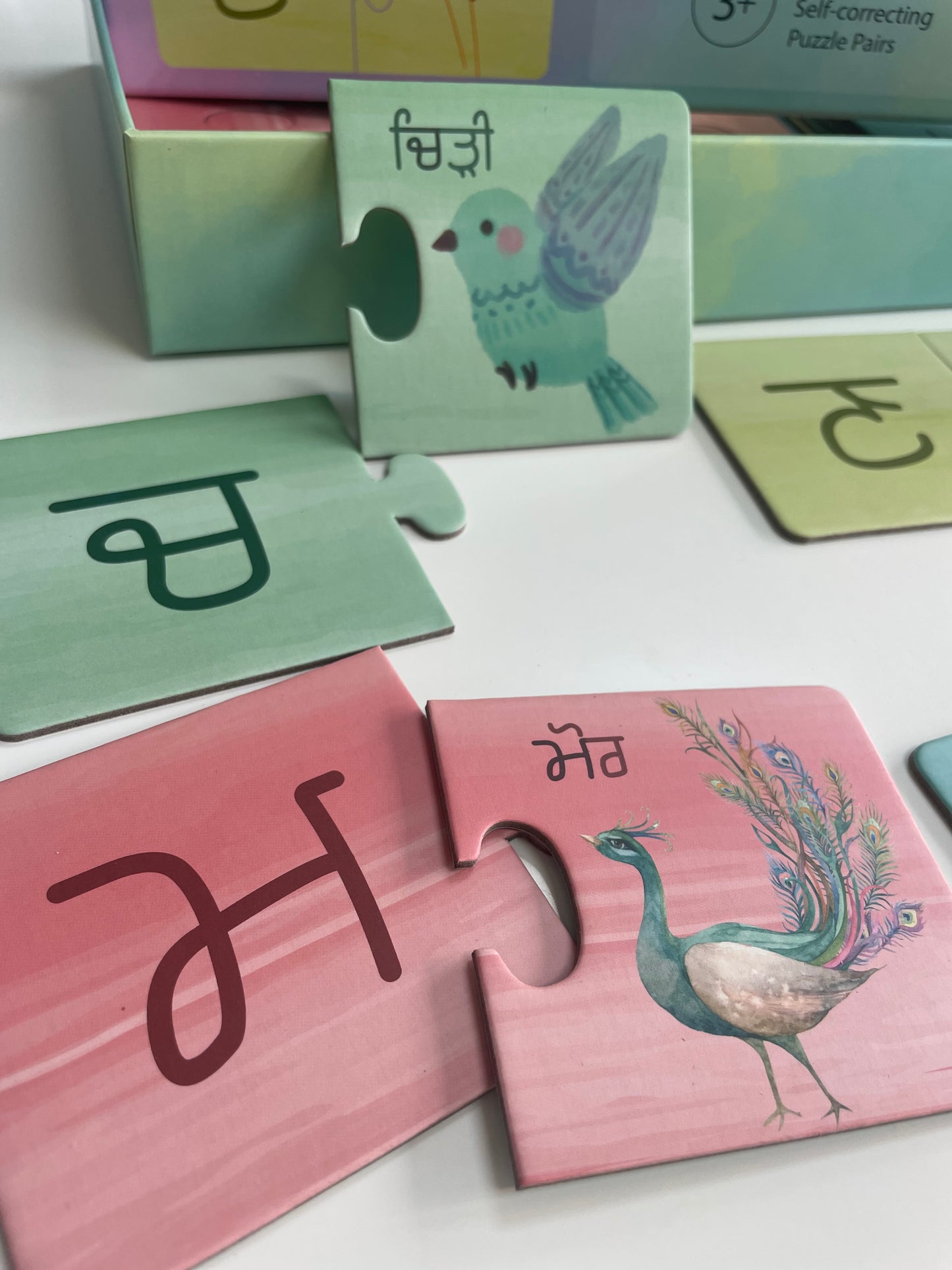 Gurmukhi Puzzle Pairs