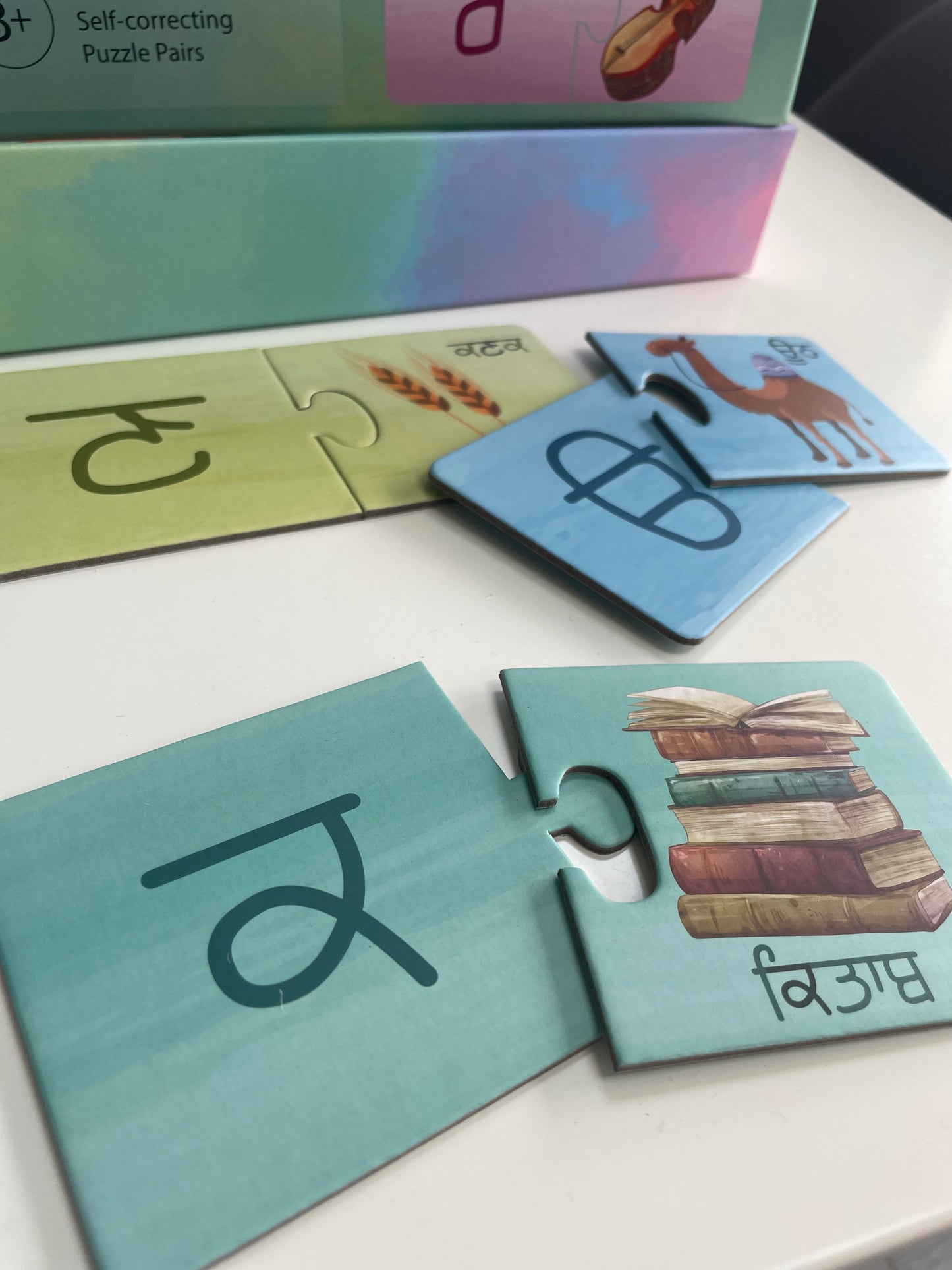 Gurmukhi Puzzle Pairs